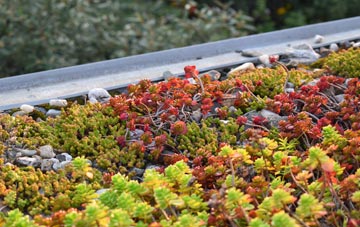 the cost of Appley green roof installation