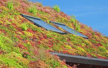 Appley living roof systems